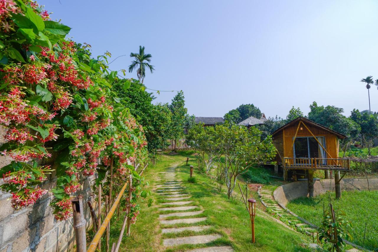 Little Bee House Hotel Trai Vang Exterior photo