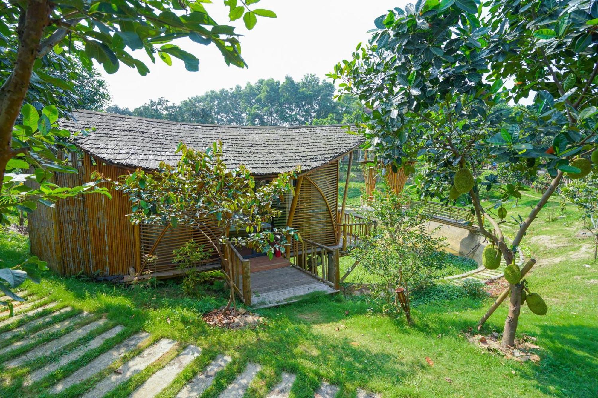 Little Bee House Hotel Trai Vang Exterior photo