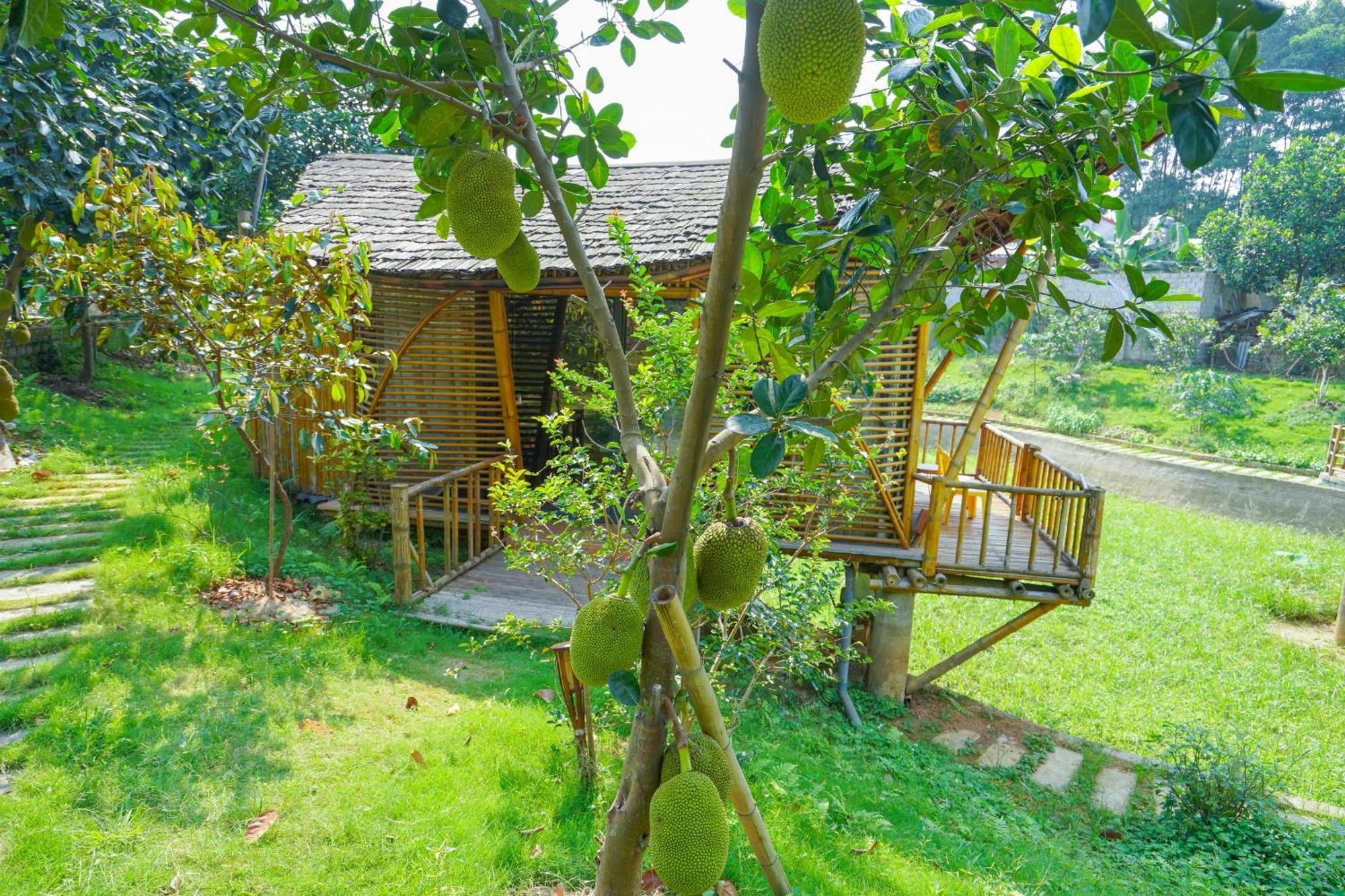Little Bee House Hotel Trai Vang Exterior photo
